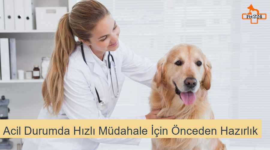 Acil Durumda Hızlı Müdahale İçin Önceden Hazırlık