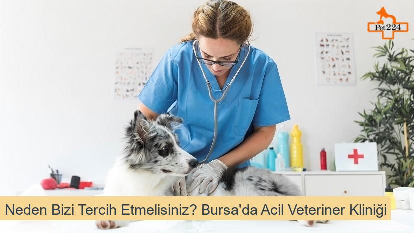 Neden Bizi Tercih Etmelisiniz? Bursa'da Acil Veteriner Kliniği